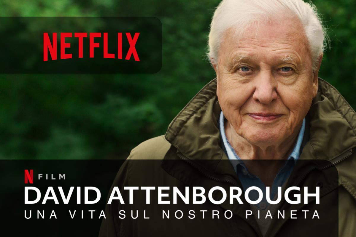 Netflix presenta David Attenborough: una vita sul nostro pianeta