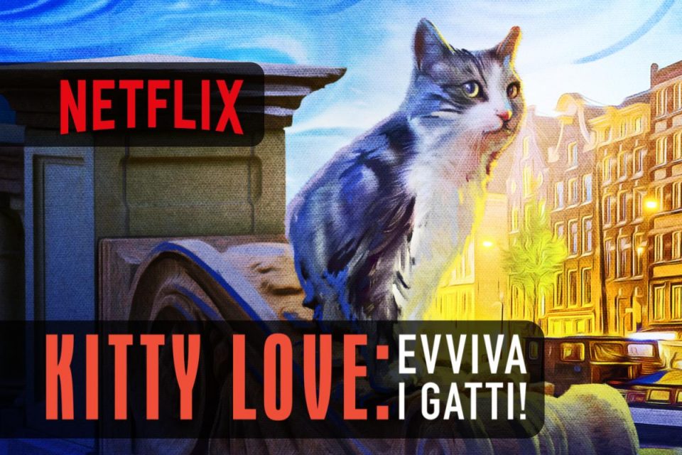 Kitty Love: evviva i gatti! il documentario con il gatto più famoso dei Paesi Bassi