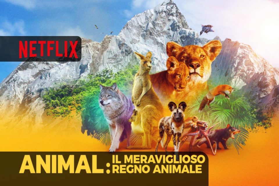 Animal: il meraviglioso regno animale - Stagione in uscita - il 10 novembre