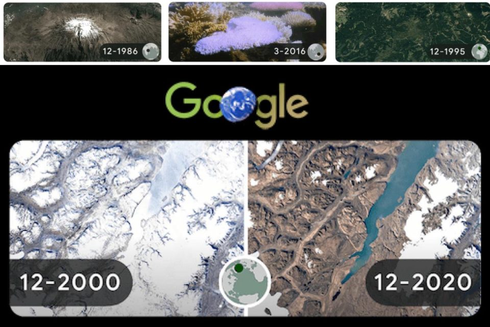 Tutti i doodles di Google per la Giornata della Terra 2022