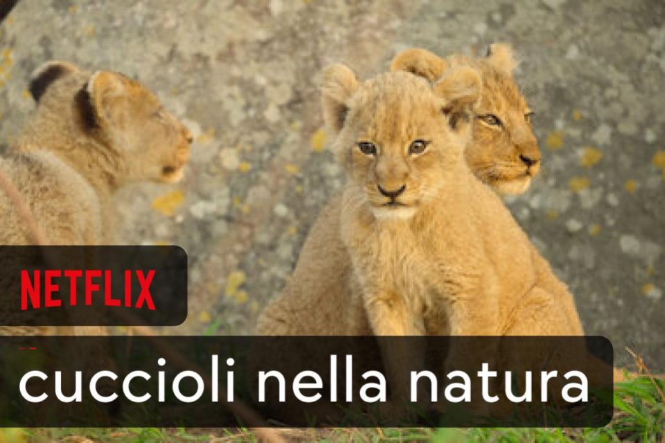 Cuccioli nella natura: tutto ciò che devi sapere sulla serie coccolosa di Netflix