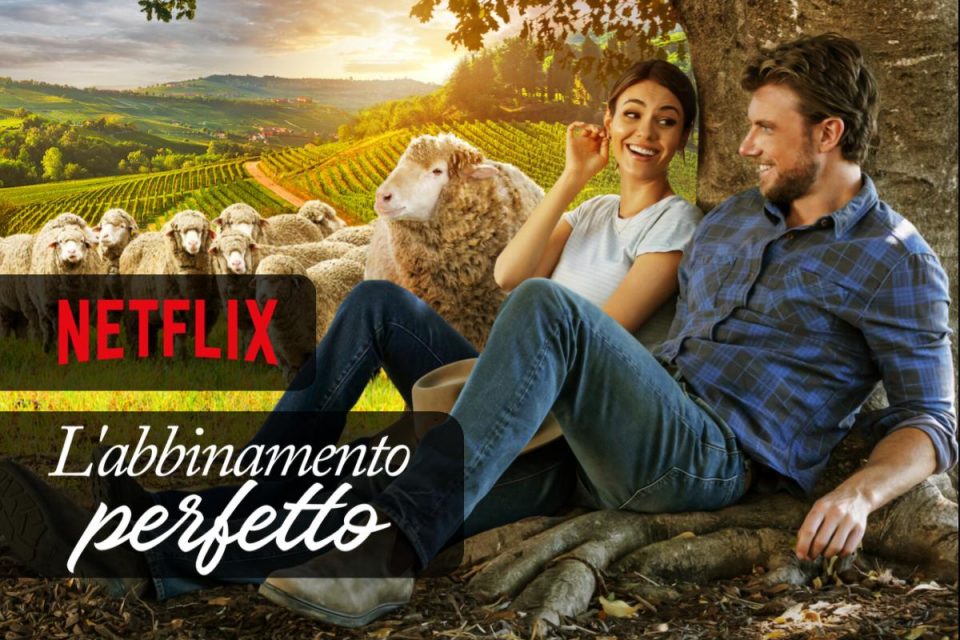 L'abbinamento perfetto la perfetta commedia romantica da vedere su Netflix
