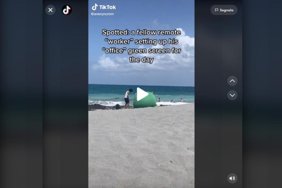 Lavorare da remoto in spiaggia con il green screen il video che scatena il web